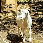 Casal Fontainhas- Country With Pool 別荘