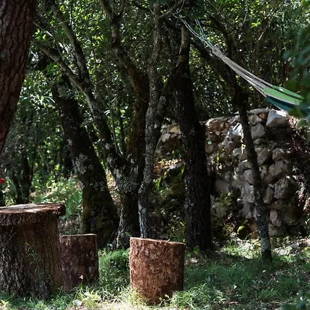 Vakantiehuis Casal Fontainhas- Country With Pool *