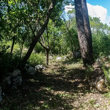 Casal Fontainhas- Country With Pool Vakantiehuis Alcobaça
