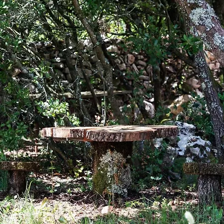 Casal Fontainhas- Country With Pool *