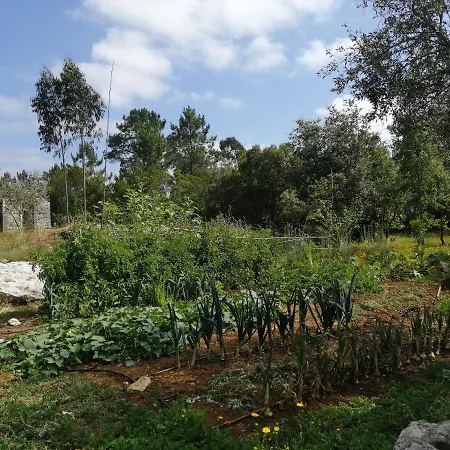 Holiday home Casal Fontainhas Alcobaca