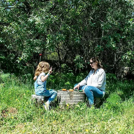 Casal Fontainhas- Country With Pool Tatil Evi