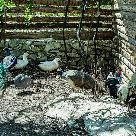 Casal Fontainhas- Country With Pool Vakantiehuis Alcobaça