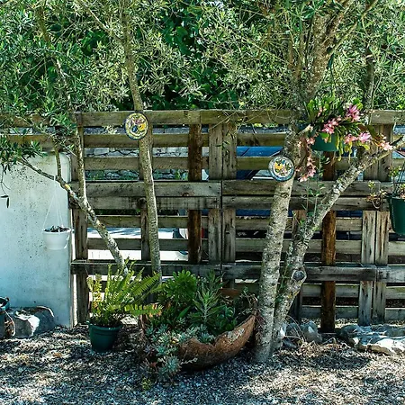 Casal Fontainhas- Country With Pool
