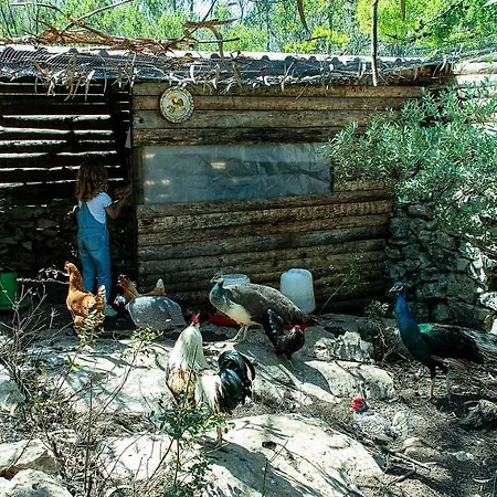 Casal Fontainhas- Country With Pool Vakantiehuis Alcobaça