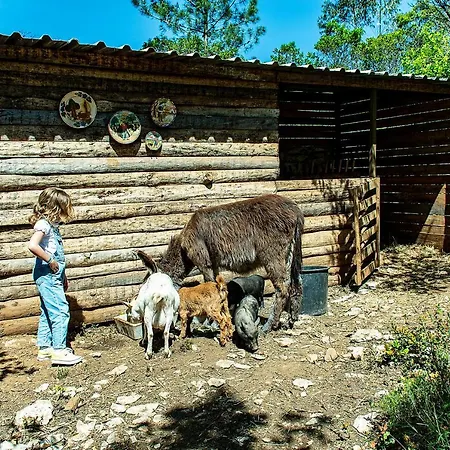 Casal Fontainhas- Country With Pool Tatil Evi Alcobaça