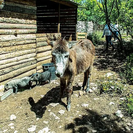 Vakantiehuis Casal Fontainhas- Country With Pool Alcobaça
