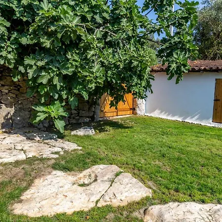 Casal Fontainhas Holiday home
