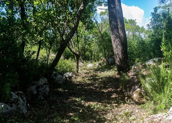 Casal Fontainhas- Country With Pool Holiday home Alcobaca