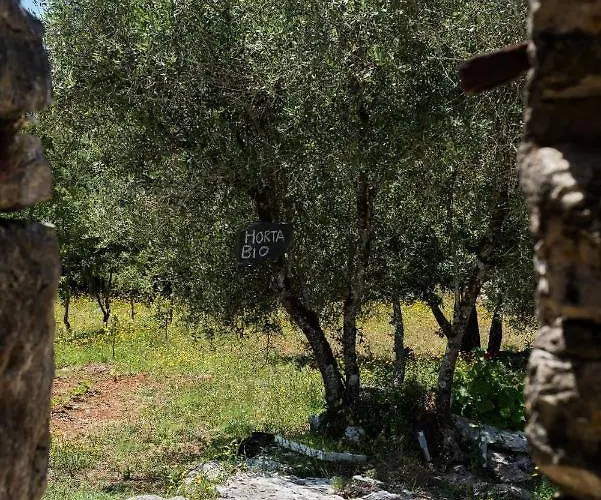 Casal Fontainhas- Country With Pool Alcobaca