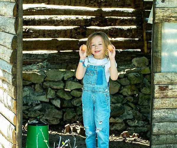 Casal Fontainhas- Country With Pool * Alcobaca