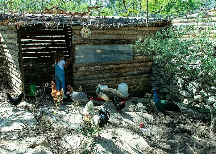 Casal Fontainhas- Country With Pool Holiday home Alcobaca