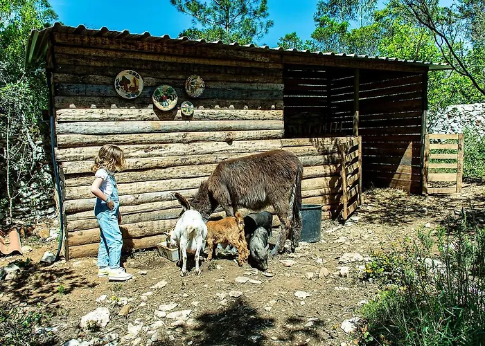Casal Fontainhas- Country With Pool Holiday home Alcobaca