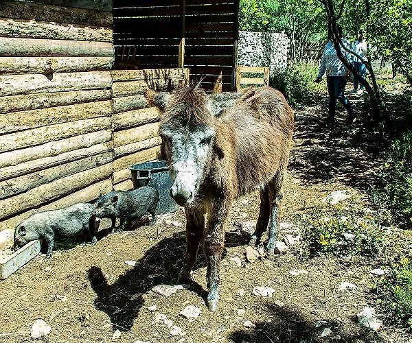 Holiday home Casal Fontainhas- Country With Pool Alcobaca