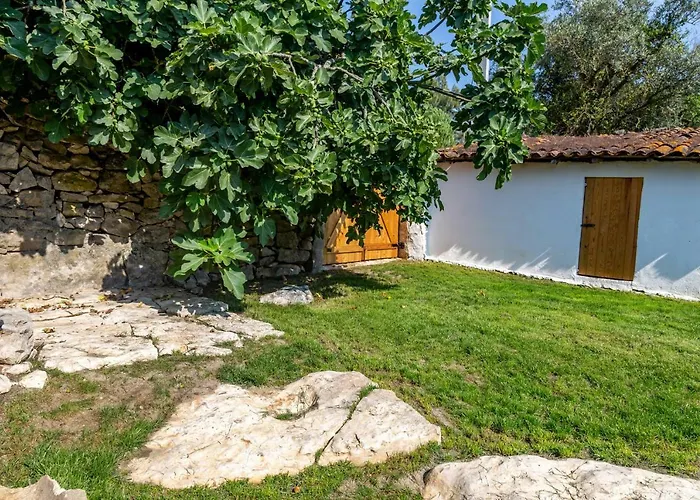 Casal Fontainhas- Country With Pool Holiday home